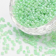 8/0 Glass Seed Beads, Ceylon, Round, Round Hole, Pale Green, 8/0, 3mm, Hole: 1mm, about 1111pcs/50g, 50g/bag, 18bags/2pounds(SEED-US0003-3mm-144)