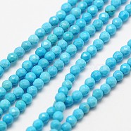 Natural Magnesite Beads Strands, Dyed & Heated, Faceted Round, 2mm, Hole: 0.8mm, about 190pcs/strand, 16 inch(G-A129-2mm-33)