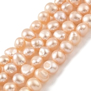 Natural Cultured Freshwater Pearl Beads Strands, Two Sides Polished, Light Salmon, 5~5.5mm, Hole: 0.5mm, about 33pcs/strand, 6.69''(17cm)(PEAR-A006-05)