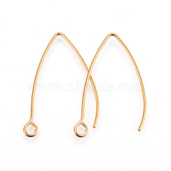 304 Stainless Steel Earring Hooks, Ear Wire, with Horizontal Loop, Golden, 29~30x20x0.9mm, Hole: 2mm, Pin: 0.9mm(X-STAS-F191-02G-B)