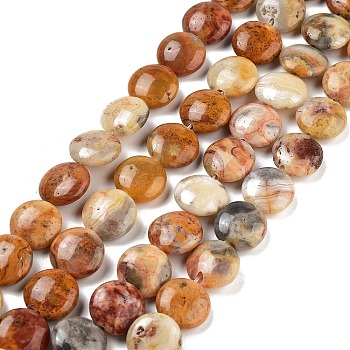 Flat Round Natural Crazy Lace Agate Beads Strands, Pale Goldenrod, 12x5mm, Hole: 1mm, about 33pcs/strand, 15.7 inch