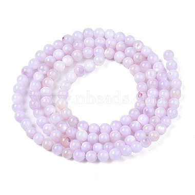 Natural Freshwater Shell Beads Strands(X-BSHE-T009A-01G)-2