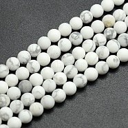 Frosted Howlite Round Bead Strands, 8mm, Hole: 1mm, about 45~47pcs/strand, 14.9~15.6 inch(G-M064-8mm-12)