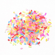 Handmade Polymer Clay Sprinkle Beads, Fake Food Craft, Undrilled/No Hole Beads, Mixed Color, 0.5~5x1mm(X-CLAY-Q242-06D)