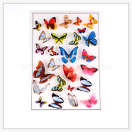 Filler Stickers(No Adhesive on the back), for UV Resin, Epoxy Resin Jewelry Craft Making, Butterfly, Mixed Color, 15x10cm(X-DIY-I011-01)