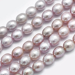 Natural Cultured Freshwater Pearl Beads Strands, Oval, Thistle, 6.5~7x5.5~6mm, Hole: 0.8mm, about 44pcs/strand, 14.17 inch(36cm)(PEAR-K003-23B-01)