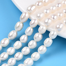 Natural Cultured Freshwater Pearl Beads Strands, Rice, Seashell Color, 6.5~11.5x6~7.5mm, Hole: 0.7mm, about 37~46pcs/strand, 13.66 ~14.25 inch(34.7cm~36.2cm)(PEAR-N012-06V)