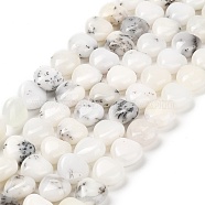 Natural White African Opal Beads Strands, Heart, 10~10.5x10~10.5x5.5~6mm, Hole: 1mm, about 41pcs/strand, 15.43''(39.2cm)(G-H005-C10-01)