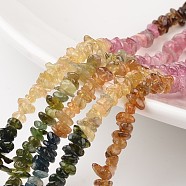 Chip Natural Tourmaline Bead Strands, Grade A+, 3~4x4~5mm, Hole: 1mm, about 15.7 inch(G-M349-07)