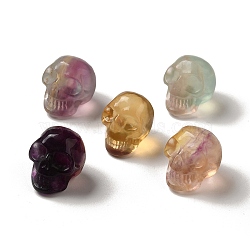 Natural Fluorite Home Display Decorations, Skull, 23x21x22mm(G-M397-02A)