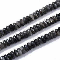 Natural Larvikite Beads Strands, Rondelle, 4~5x2mm, Hole: 0.8mm, about 163~168pcs/strand, 14.96~15.35 inch(38~39cm)(G-S366-091A)