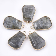 Natural Labradorite Pendants, with Brass Findings, Trapezoid, Golden, 30~32x21~22x6~7mm, Hole: 2mm(G-T112-15B)