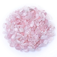 Natural Rose Quartz Tumbled Chips, for Home Crafts Projects and Flower Pot Fish Tank Decoration, 3~5mm(PW-WGA7DCE-06)