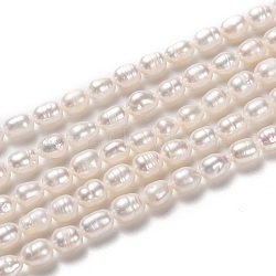 Natural Cultured Freshwater Pearl Beads Strands, Rice, Bisque, 6~7x5~5.5mm, Hole: 0.8mm, about 43pcs/strand, 13.39~13.58 inch(34~34.5cm)(PEAR-L033-65)