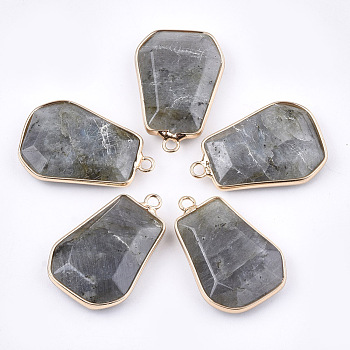 Natural Labradorite Pendants, with Brass Findings, Trapezoid, Golden, 30~32x21~22x6~7mm, Hole: 2mm