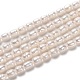 Natural Cultured Freshwater Pearl Beads Strands(PEAR-L033-65)-1