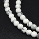 Natural Howlite Beads Strands(G-F604-18-4mm)-1