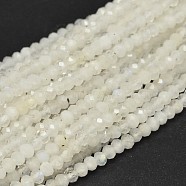 Faceted Round Natural Rainbow Moonstone Bead Strands, 3mm, Hole: 0.5mm, about 146pcs/strand, 15.5 inch(G-F289-05)