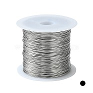 Non-Tarnish 316 Stainless Steel Wire, for Jewelry Making, Stainless Steel Color, 24 Gauge, 0.5mm, about 75.45 Feet(23m)/roll(TWIR-L004-01C-P)