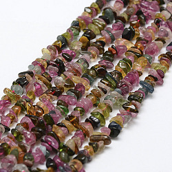 Natural Tourmaline Beads Strands, Chip, Grade A, Colorful, 3~5x7~13x2~4mm, Hole: 0.4mm, about 32~32.5 inch(X-G-F328-37)