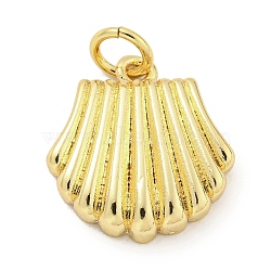 Brass Charms, with Jump Rings, Long-Lasting Plated, Lead Free & Cadmium Free, Sea Shell, Real 18K Gold Plated, 14.5x14x3mm, Hole: 3mm(KK-Q814-18G)