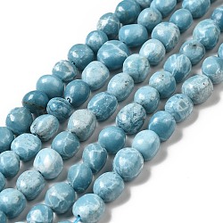 Natural Gemstone Beads Strands, Imitation Larimar, Tumbled Stone, Dyed, Nuggets, Sky Blue, 10~13x9.5~11.5x7~9mm, Hole: 1.2mm, about 37pcs/strand, 15.20 inch(38.6cm)(G-F730-05B)