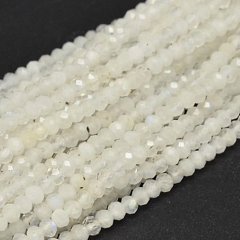 Faceted Round Natural Rainbow Moonstone Bead Strands, 3mm, Hole: 0.5mm, about 146pcs/strand, 15.5 inch
