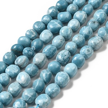 Natural Gemstone Beads Strands, Imitation Larimar, Tumbled Stone, Dyed, Nuggets, Sky Blue, 10~13x9.5~11.5x7~9mm, Hole: 1.2mm, about 37pcs/strand, 15.20 inch(38.6cm)