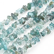 Natural Apatite Beads Strands, Chip, 5~13x3~8mm, Hole: 0.6mm, 33~33.4 inch(84~85cm)(X-G-F666-01B-01)