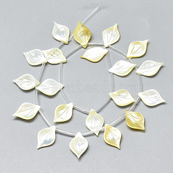 Natural Yellow Shell Pendants, Leaf, Champagne Yellow, 16x10x3mm, Hole: 0.7mm(SSHEL-N036-019)