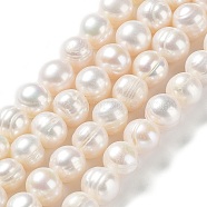 Natural Cultured Freshwater Pearl Beads Strands, Potato, Grade 2A, Antique White, 9~10x9~10mm, Hole: 0.6mm, about 38pcs/strand, 14.76''(37.5cm)(PEAR-E019-01)