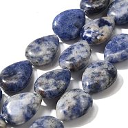 Natural Blue Spot Jasper Beads Strands, Teardrop, 16x12x5~6mm, Hole: 1mm, about 25pcs/strand, 15.16''~15.75''(38.5~40cm)(G-P561-B06-01)