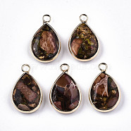 Teardrop Assembled Synthetic Bronzite and Regalite/Imperial Jasper Pendants, with Iron Loop and Brass Edge, Light Gold, Dyed, Camel, 22~23x14x5~6mm, Hole: 2mm(G-N330-022-D06)