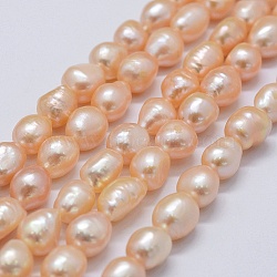 Natural Cultured Freshwater Pearl Beads Strands, Two Sides Polished, PeachPuff, 9~13x9~10x6.5~10mm, Hole: 0.2mm, about 33pcs/strand, 14.1 inch(PEAR-K004-03B-01)