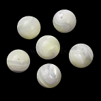 Natural Trochid Shell/Trochus Shell Beads, Smooth Round, Half Drilled, White, 11.5~12mm, Hole: 1mm(SH-CBA2978-22)