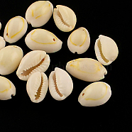 Natural Cowrie Shell Beads, Oval, Seashell Color, 20~23x14~20x9~13mm, Hole: 1~2mm(X-BSHE-Q297-1)