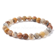 Natural Crazy Agate Round Beaded Stretch Bracelets, Inner Diameter: 2-3/8 inch(6~6.1cm).(BJEW-TA00410-03)