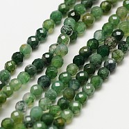 Natural Moss Agate Beads Strands, Faceted Round, 3mm, Hole: 0.8mm, about 126pcs/strand, 15.5 inch(G-A129-3mm-01)