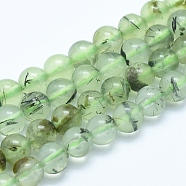 Natural Prehnite Beads Strands, Round, 8mm, Hole: 1mm; about 50pcs/strand, 15.7inches(40cm)(G-E483-07B-8mm)