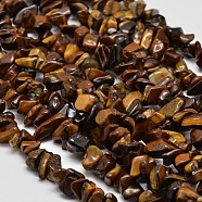 Chip Natural Tiger Eye Beads Strands, 5~8x5~8mm, Hole: 1mm, 34 inch(G-N0134-09)