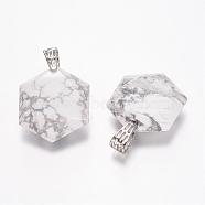 Natural Howlite Gemstone Pendants, Faceted, Hexagram, Platinum, 41x28x9mm, Hole: 5x9mm(G-E338-09J)