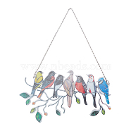 Acrylic Wall Hanging Decorations, with Stainless Steel Curb Chains and 2Pcs Jump Rings, Bird Flock, Colorful, 11.5x19.5x0.4cm, Hole: 3x5mm(HJEW-WH0014-01)