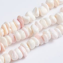 Natural Pink Shell Beads Strands, Nuggets, 5~7x5~7x2~4mm, Hole: 0.6mm, about 132pcs/strand, 15.94 inch(40.5cm)(X-SSHEL-L016-19)