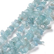 Natural Aquamarine Chips Beads Strands, Grade A, 2.5~6x4.5~10.5mm, Hole: 0.8~1mm, about 33.86 inch(86cm)(G-D0002-A02)