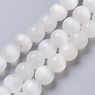 Natural Selenite Beads Strands, Round, 8mm, Hole: 1mm, about 51pcs/strand, 15.75 inch(40cm)(G-I203-C-8mm)