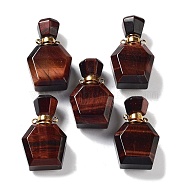 Natural Tiger Eye Perfume Bottle Pendants, Polygon Essentail Oil Diffuser Faceted Bottle Charms with Golden Tone Stainless Steel Findings, for Jewelry Making, 33.5~35x21~21.5x12~14mm, Hole: 1.6mm(G-A026-16A-01)