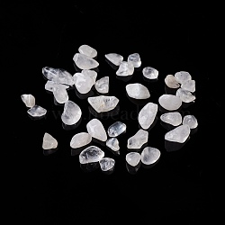 Natural Quartz Crystal Chips Beads, Rock Crystal Beads, No Hole, 5~10.5x5~7x2~4mm, about 3000pcs/1000g(G-O103-17A)