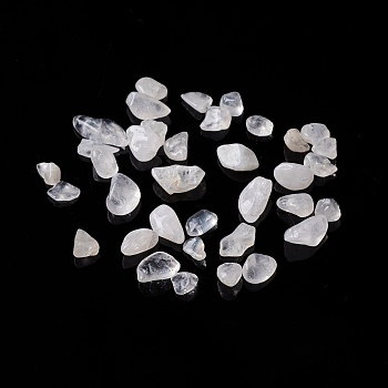 Natural Quartz Crystal Chips Beads, Rock Crystal Beads, No Hole, 5~10.5x5~7x2~4mm, about 3000pcs/1000g