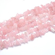 Natural Rose Quartz Beads Strands, Chips, 5~8x5~8mm, Hole: 1mm, about 31.5 inch(X-G-O049-B-60)