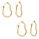 201 Stainless Steel Hoop Earrings(EJEW-UN0001-34G)-2